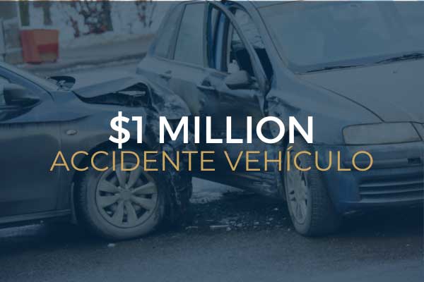 Vehicle Accident Case